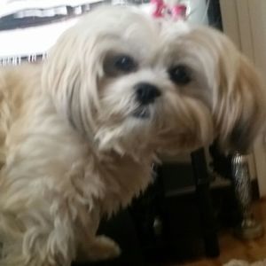 Meet your Posher, Cathie